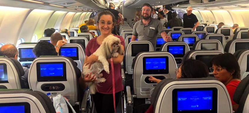 Segunda aeronave da FAB traz 214 passageiros e, pela primeira vez, animais de estimação - um cachorro e três gatos