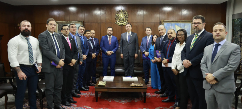 Deputados da bancada fluminense acompanharam o governador nas reuniões no Senado e na Câmara Federal