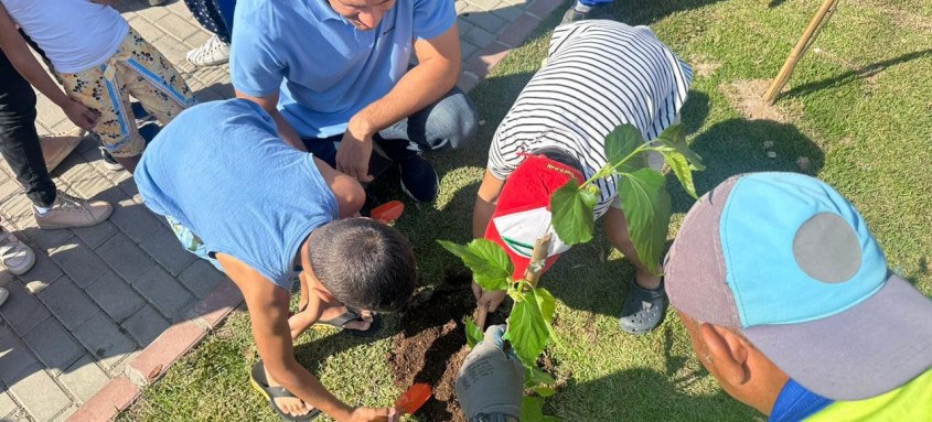 Até a conclusão da obra, serão plantadas 1.192 mudas de árvores e arbustos, com espécies como o Ipê, a Acácia, a Sibipiruna e a Escumilha