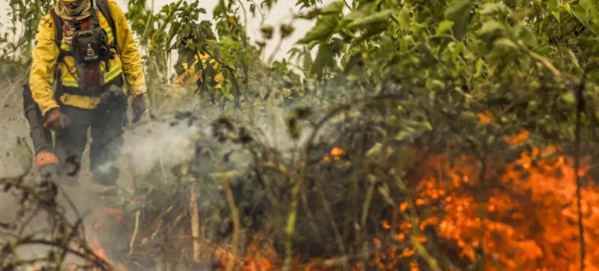 A área da Amazônia que já foi consumida pelo fogo em 2024 ultrapassou 5,5 milhões de hectares