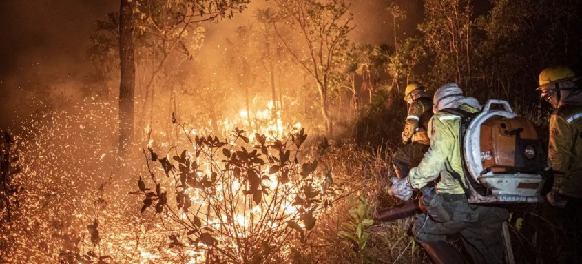 Desse total, 5,65 milhões de hectares foram consumidos pelo fogo apenas no mês de agosto, o que equivale a 49% do total deste ano