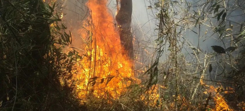 As chamas na Serra dos Órgãos estão atingindo locais de difícil acesso
