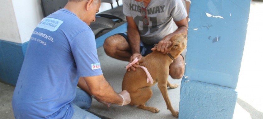 São Gonçalo vacina cães e gatos contra raiva neste sábado
