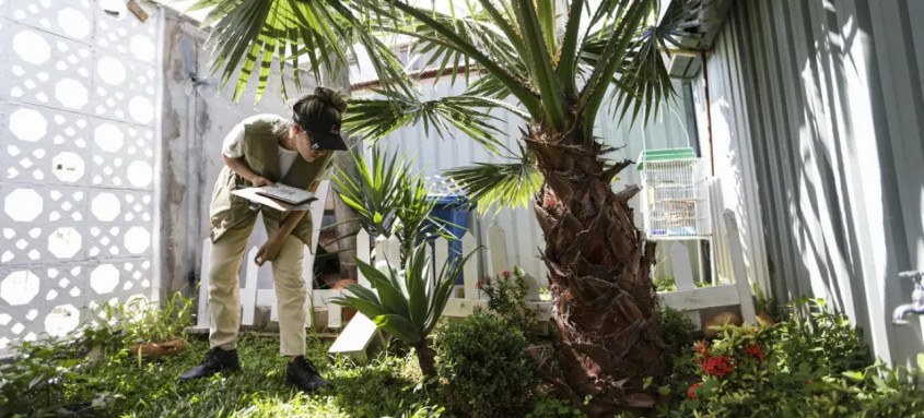 Estudo explica quais os aspectos que motivam ou dificultam a adoção de práticas de prevenção ao Aedes aegypti