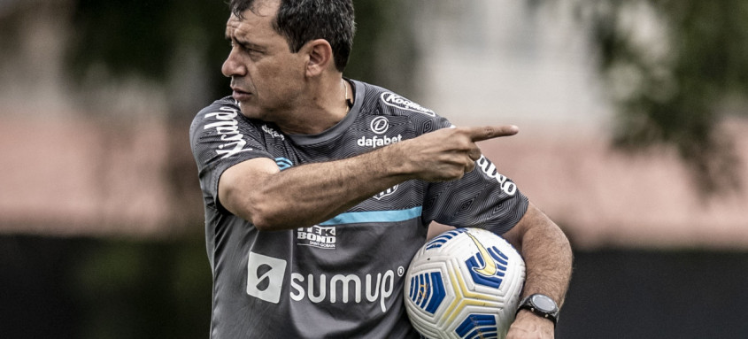 Fábio Carille comandou o Santos nesta temporada
