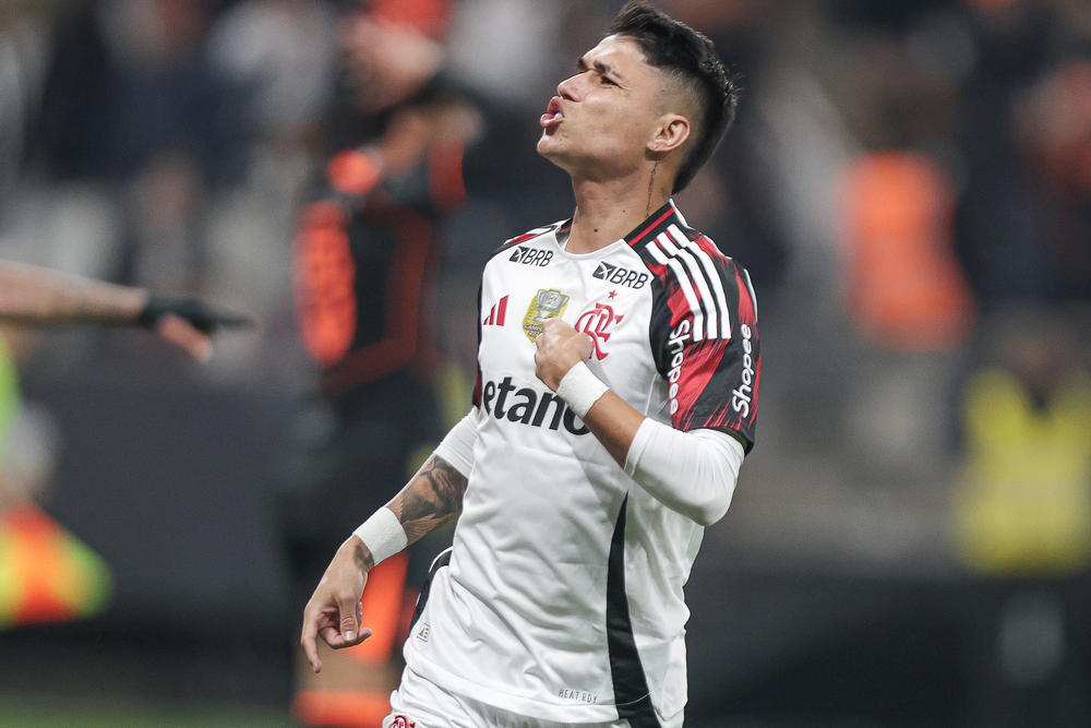 Luiz Araújo - Foto: Gilvan de Souza/Flamengo