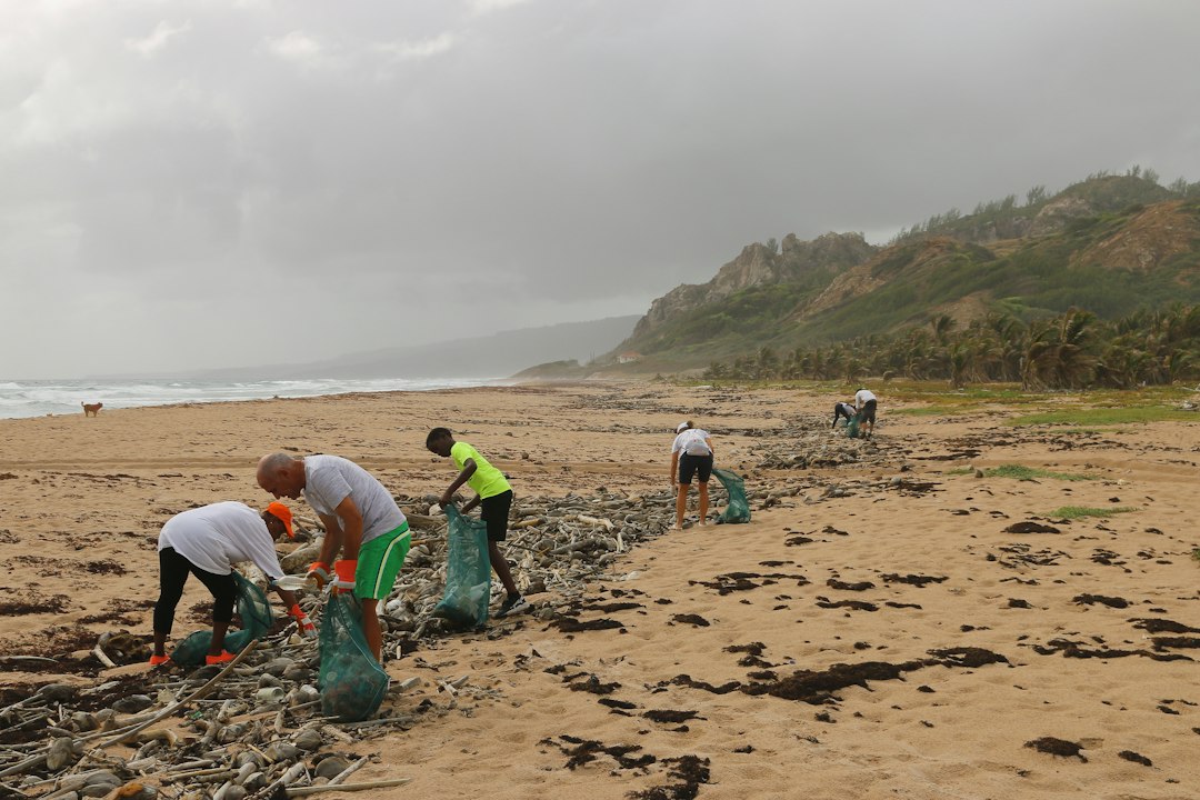 Imagem ilustrativa de ação de limpeza em praia