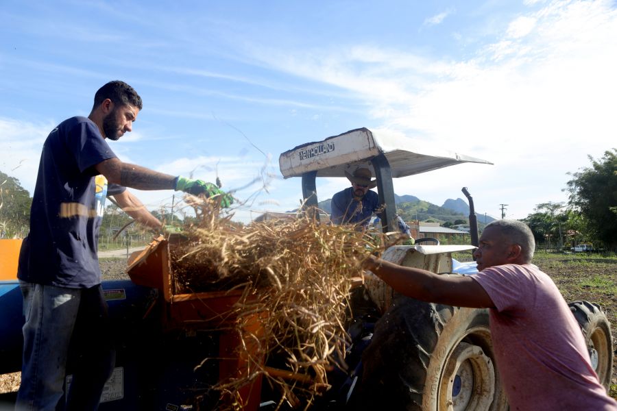 Trabalhadores rurais durante atividade agrícola em Rio das Ostras
